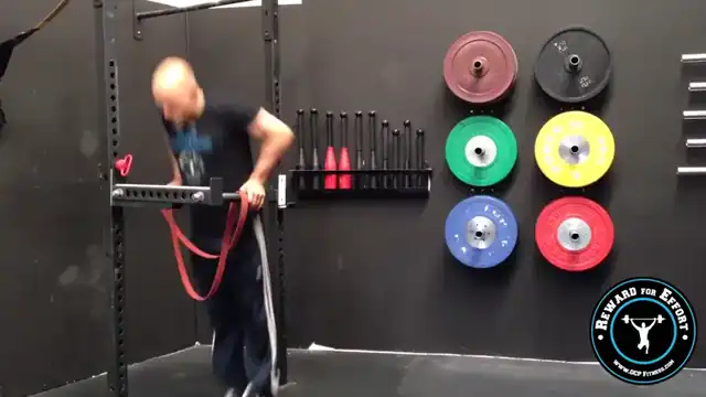 do 3 sets of 10 band-assisted dips