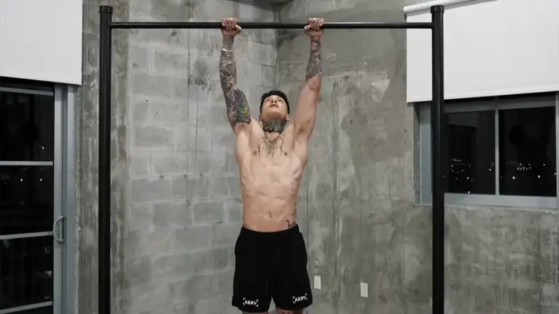 hold 3 sets of a 5 second front lever